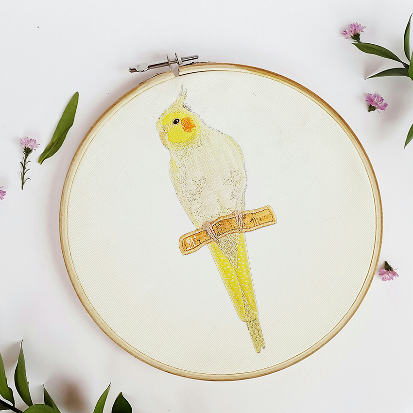 Australian Cockatiel Applique In the hoop machine embroidery designs