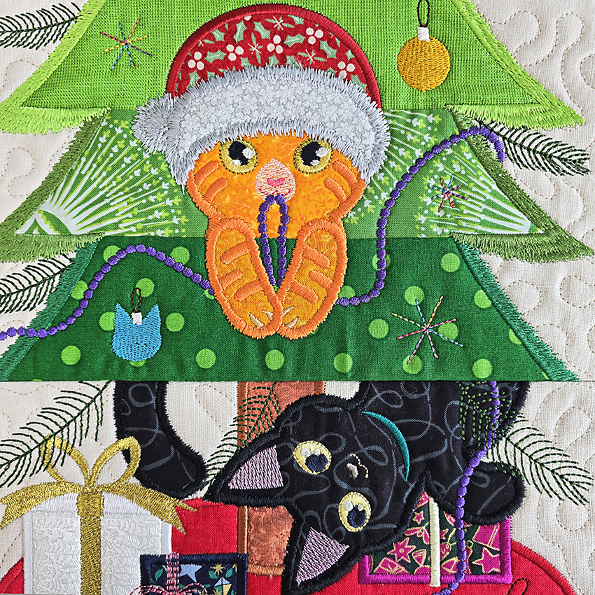 Close up of kittens 3