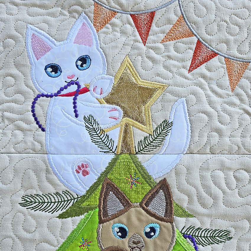 Close up of kittens and tree star