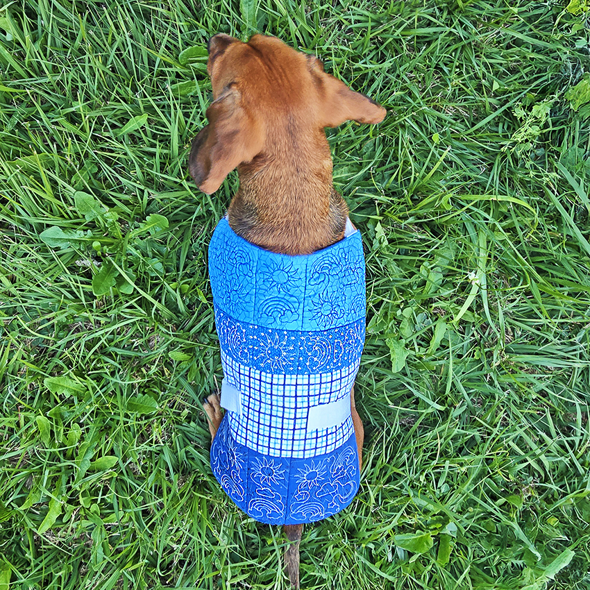 Pet Jacket