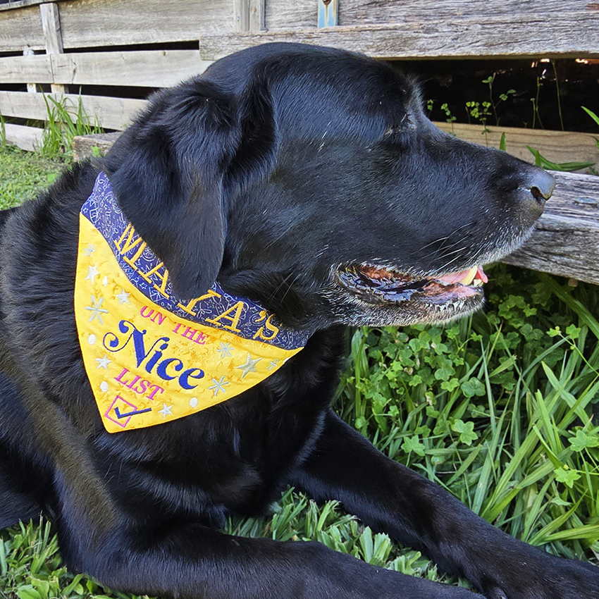 Naughty or Nice Christmas Pet Bandanas