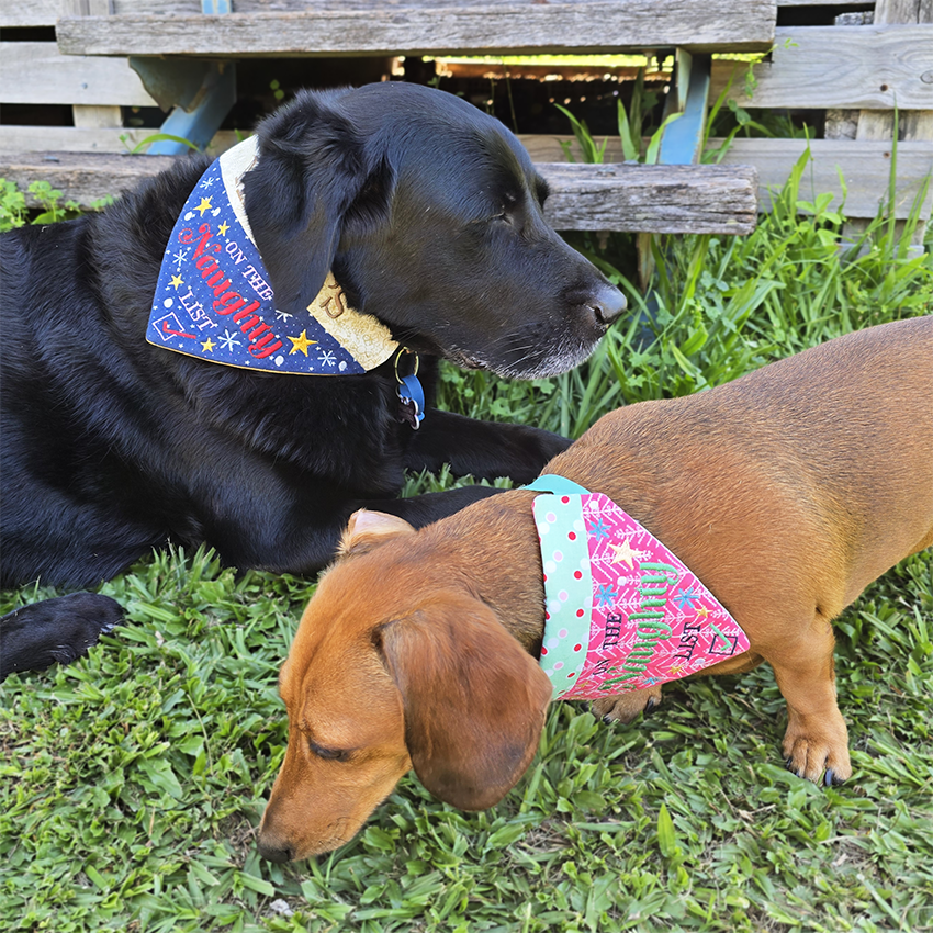 Naughty or Nice Christmas Pet Bandanas