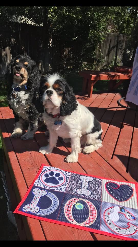 Dog Food Mat 4x4 5x5 6x6 - Sweet Pea Australia In the hoop machine embroidery designs. in the hoop project, in the hoop embroidery designs, craft in the hoop project, diy in the hoop project, diy craft in the hoop project, in the hoop embroidery patterns, design in the hoop patterns, embroidery designs for in the hoop embroidery projects, best in the hoop machine embroidery designs perfect for all hoops and embroidery machines