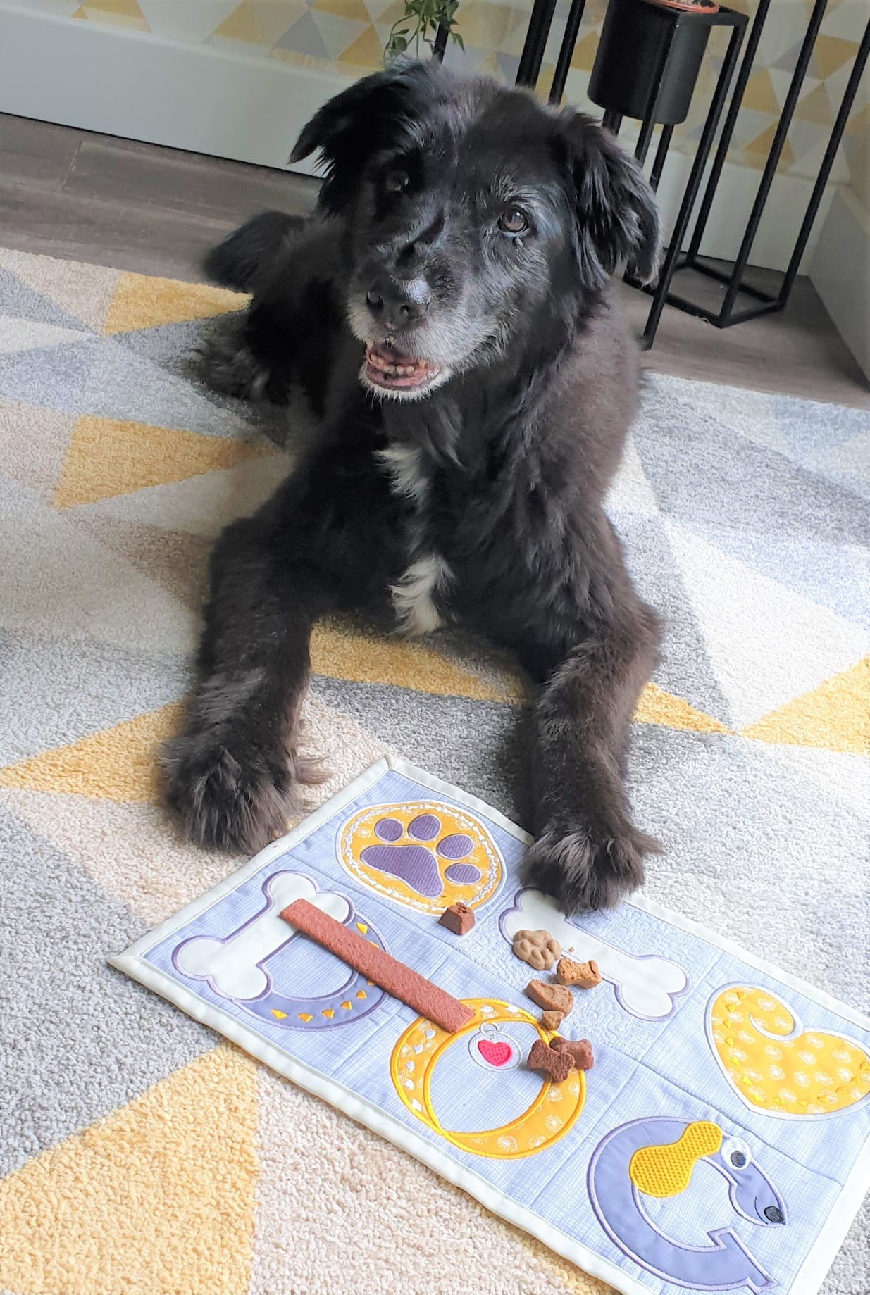 Dog Food Mat 4x4 5x5 6x6 - Sweet Pea Australia In the hoop machine embroidery designs. in the hoop project, in the hoop embroidery designs, craft in the hoop project, diy in the hoop project, diy craft in the hoop project, in the hoop embroidery patterns, design in the hoop patterns, embroidery designs for in the hoop embroidery projects, best in the hoop machine embroidery designs perfect for all hoops and embroidery machines