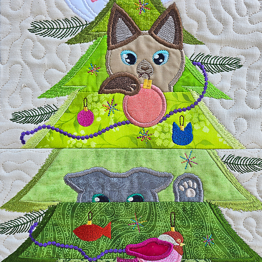 Close up of kittens 2