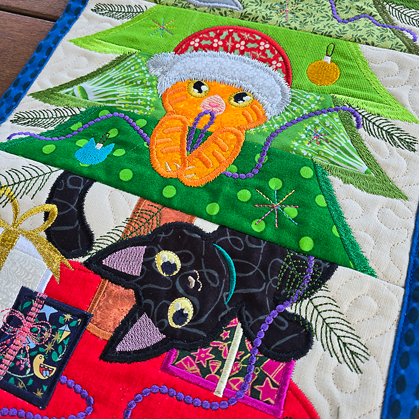 Close up of kittens 1