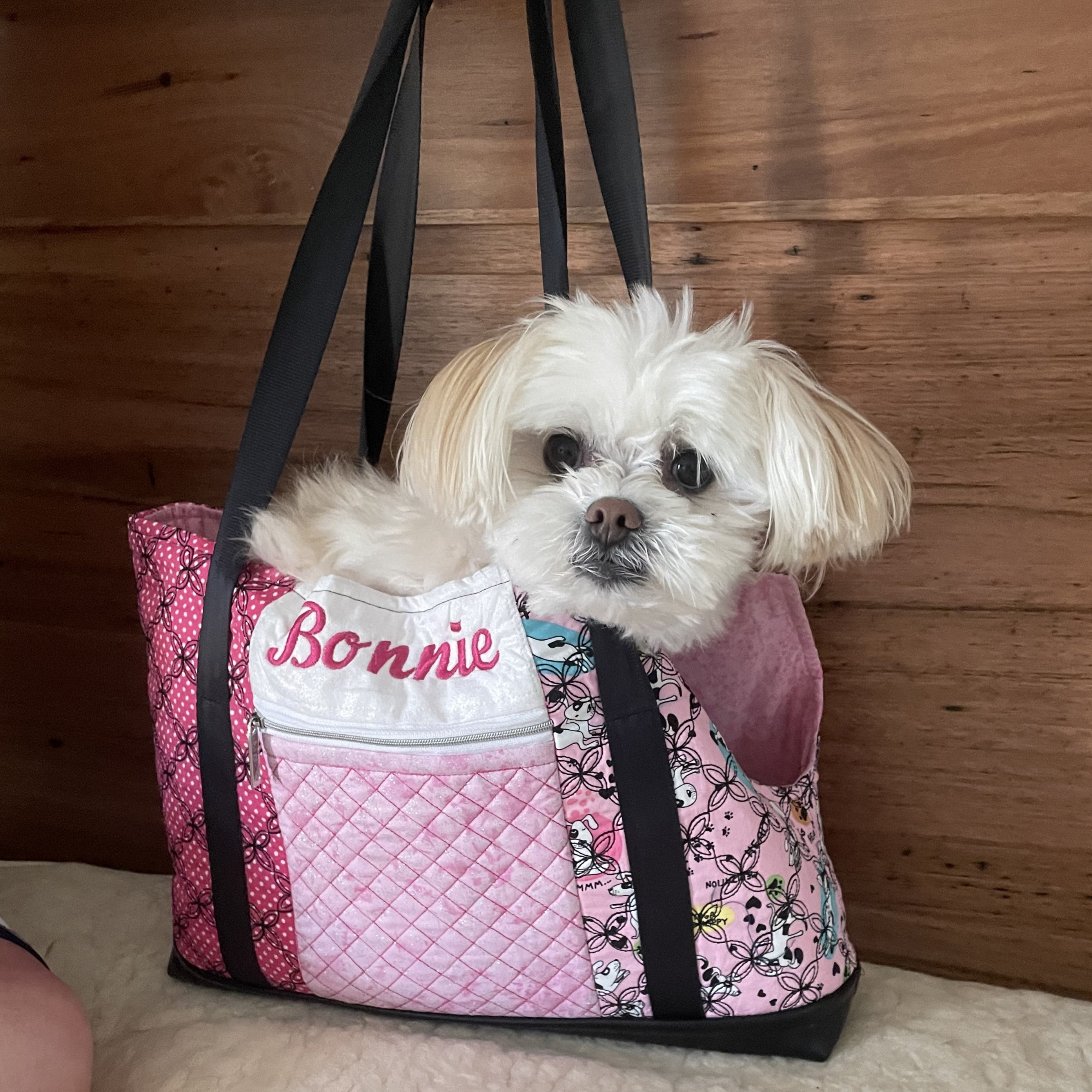 Small Dog Carrier Tote Bag 6x10 7x12