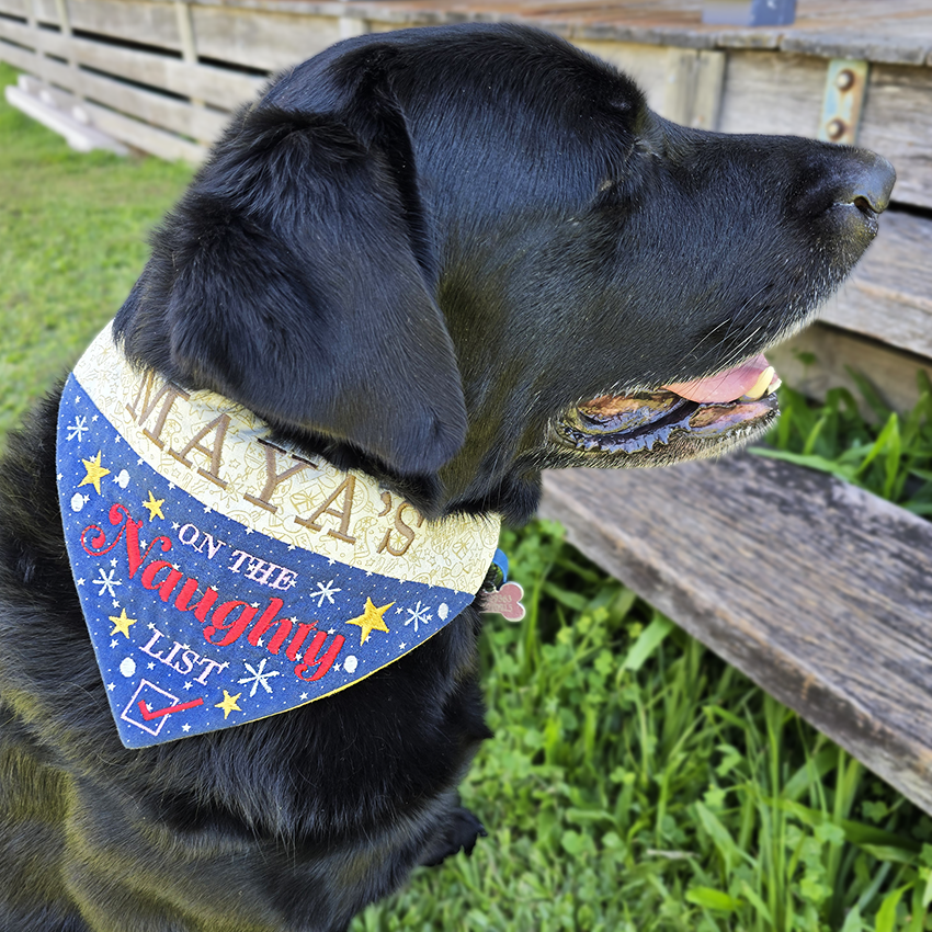Naughty or Nice Christmas Pet Bandanas