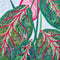 Indoor Plants Table Runner 5x7 6x10 7x12 - Sweet Pea In The Hoop Machine Embroidery Design
