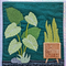 Green House Quilt 4x4 5x5 6x6 7x7 8x8 - Sweet Pea In The Hoop Machine Embroidery Design