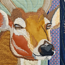 North American Wildlife Runner 5x7 6x10 7x12 - Sweet Pea In The Hoop Machine Embroidery Design