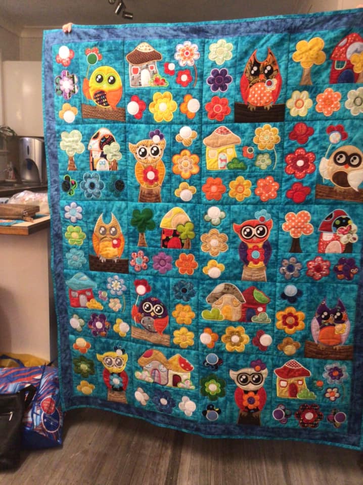 Groovey Owl and outlets Flowers Quilt with Minky Backing