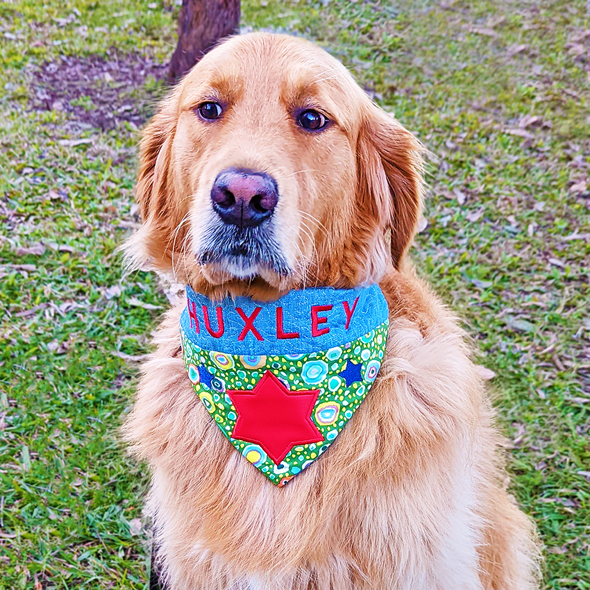 Over the Collar Pet Bandanas 5x7 6x10 7x12 In the hoop machine embroidery designs