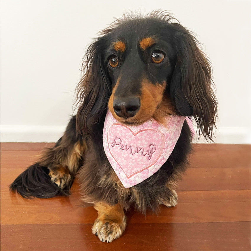 Ith dog bandana best sale