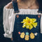 Chicks & Spring Flowers Applique Design 4x4 5x5 5x7 6x6 6x10 7x7 7x12 - Sweet Pea